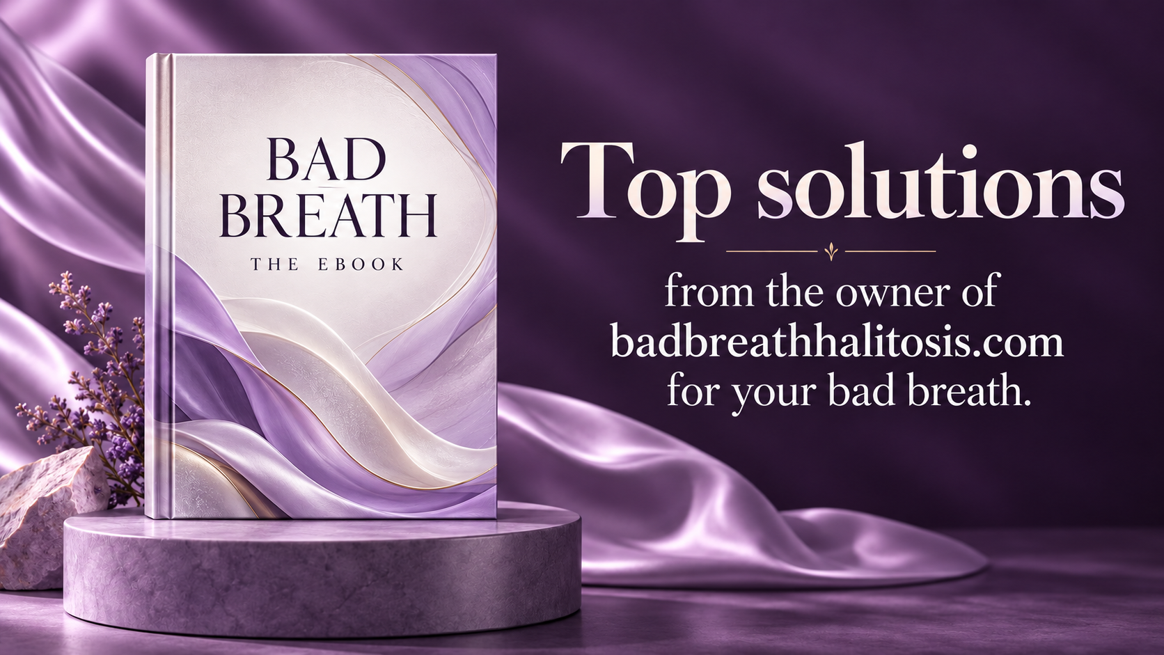 The Bad Breath ebook, with top solutions from the owner of badbreathhalitosis.com.